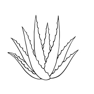Aloe Leaf Juice